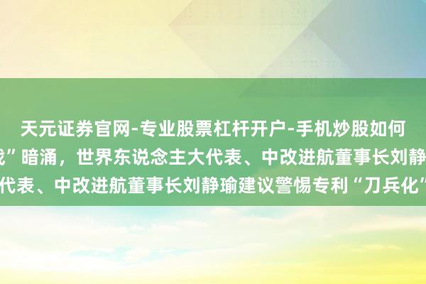 天元证券官网-专业股票杠杆开户-手机炒股如何杠杆 能源电板“专利战”暗涌，世界东说念主大代表、中改进航董事长刘静瑜建议警惕专利“刀兵化”