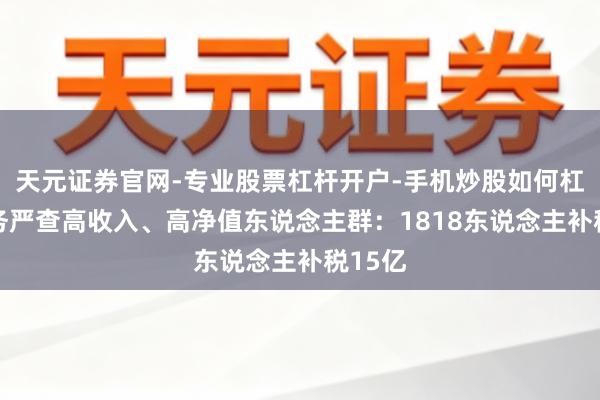 天元证券官网-专业股票杠杆开户-手机炒股如何杠杆 税务严查高收入、高净值东说念主群:1818东说念主补税15亿