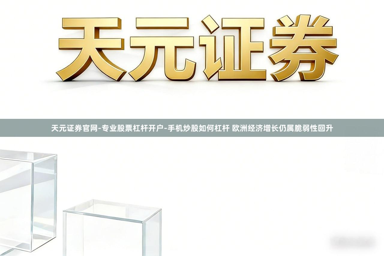 天元证券官网-专业股票杠杆开户-手机炒股如何杠杆 欧洲经济增长仍属脆弱性回升