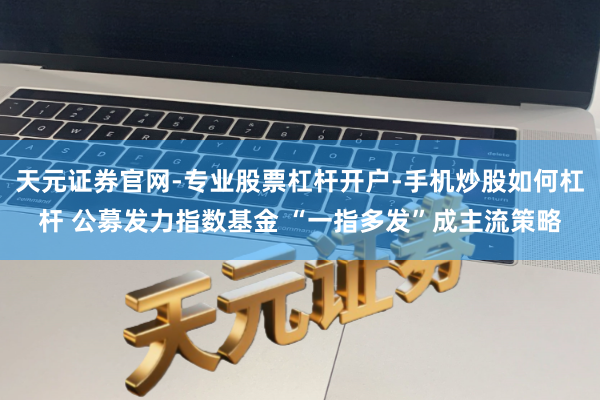 天元证券官网-专业股票杠杆开户-手机炒股如何杠杆 公募发力指数基金 “一指多发”成主流策略