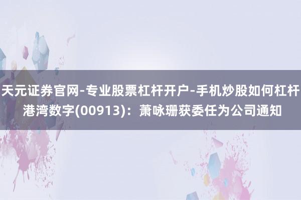 天元证券官网-专业股票杠杆开户-手机炒股如何杠杆 港湾数字(00913)：萧咏珊获委任为公司通知