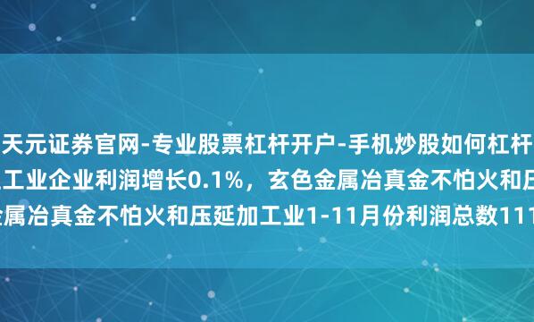 天元证券官网-专业股票杠杆开户-手机炒股如何杠杆 1—11月寰宇范畴以上工业企业利润增长0.1%，玄色金属冶真金不怕火和压延加工业1-11月份利润总数1115.0亿元