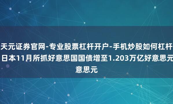 天元证券官网-专业股票杠杆开户-手机炒股如何杠杆 日本11月所抓好意思国国债增至1.203万亿好意思元