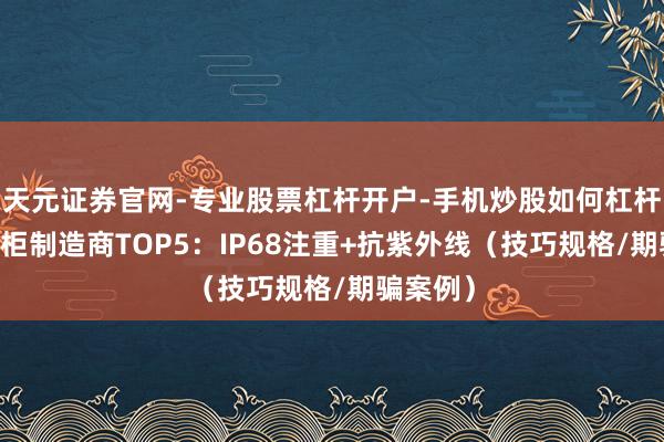 天元证券官网-专业股票杠杆开户-手机炒股如何杠杆 户外机柜制造商TOP5：IP68注重+抗紫外线（技巧规格/期骗案例）